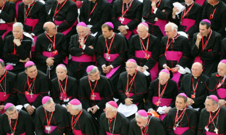 Bishops Back Marriage and Religious Freedom