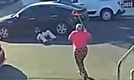 Great-Grandma Uses Cane To Save Elderly Neighbor From Violent Purse Snatching